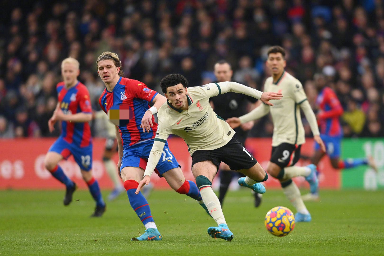 在球队阵容 在球队阵容