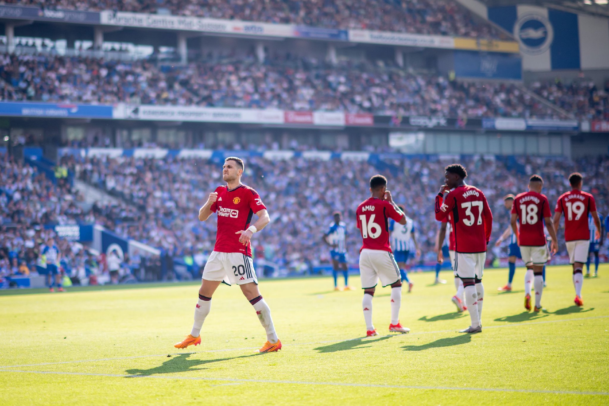 合能力都可 合能力都可